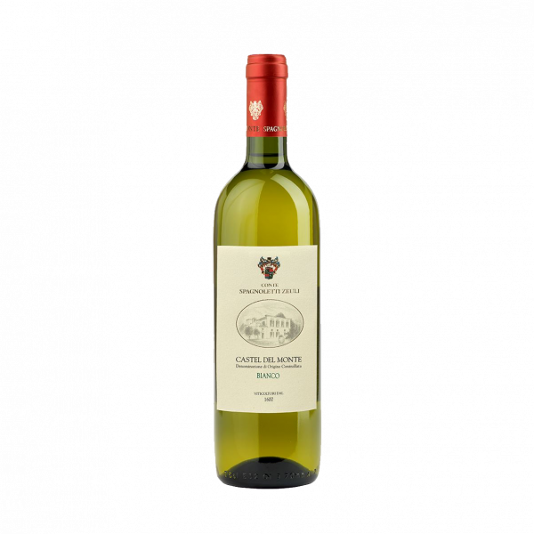 Castel del Monte DOC Bianco 2020 Bombino Bianco: 50 % Chardonnay: 50 % Temperatura di servizio: 7-8° C. Alcol svolto: 12% vol